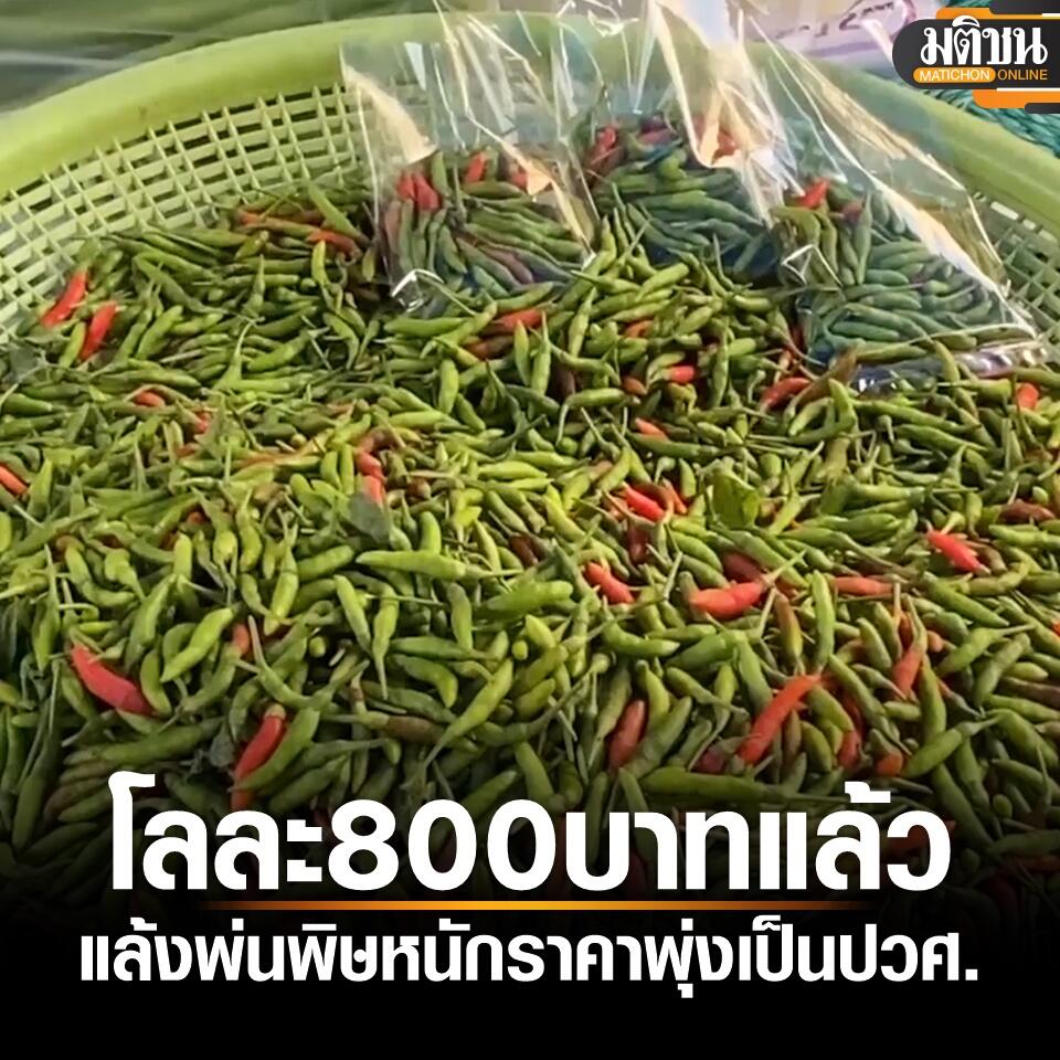 根本吃不起！泰国小米辣价格飙至800泰铢1公斤！