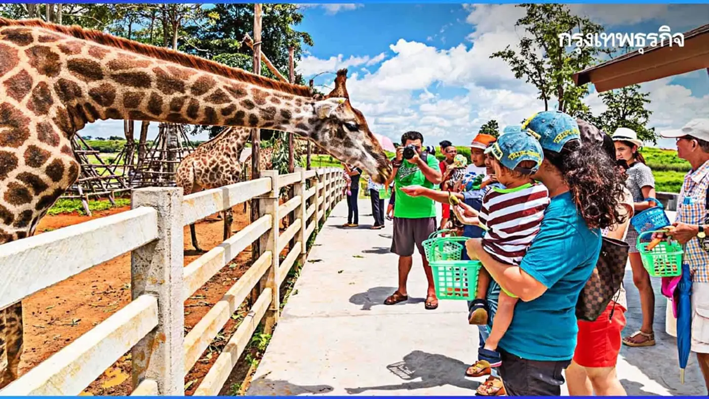 欢庆泰国王后46岁生日！全泰动物园免费对外开放！