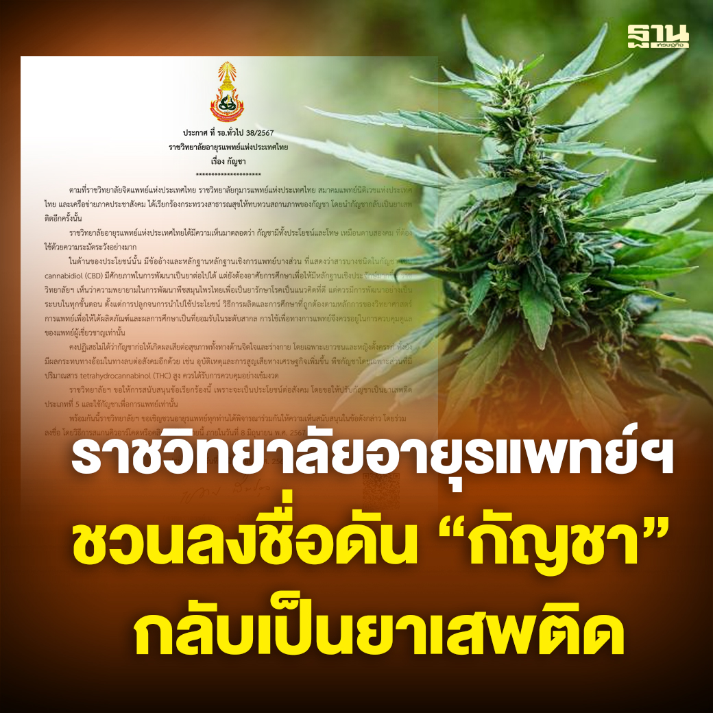 “大麻重回毒品”获得广泛支持！泰国皇家学院签署表态！