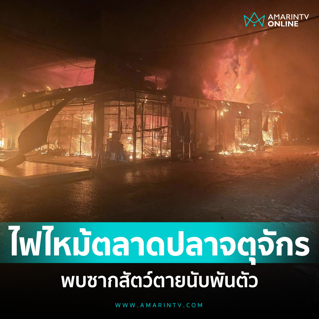 118家店铺被烧！近千只动物死亡！曼谷乍都乍市场突发大火