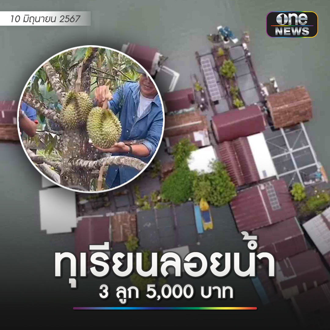 喜结3果！泰国80岁老人种出全球首棵“水上榴莲”！