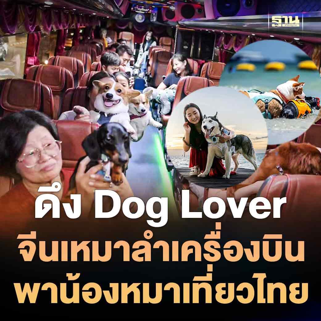 泰国首次！泰旅局吸引中国爱狗人士包机赴泰旅游！