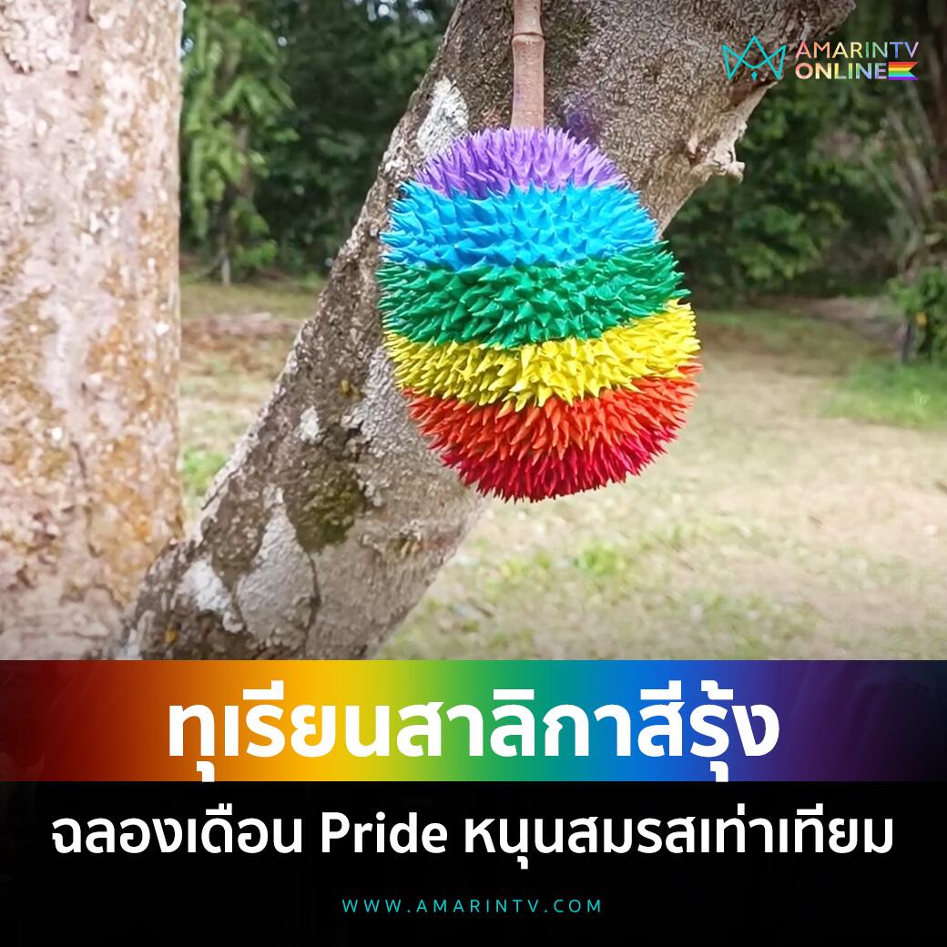 庆祝骄傲月！泰国攀牙府榴莲园主打造“彩虹榴莲”！