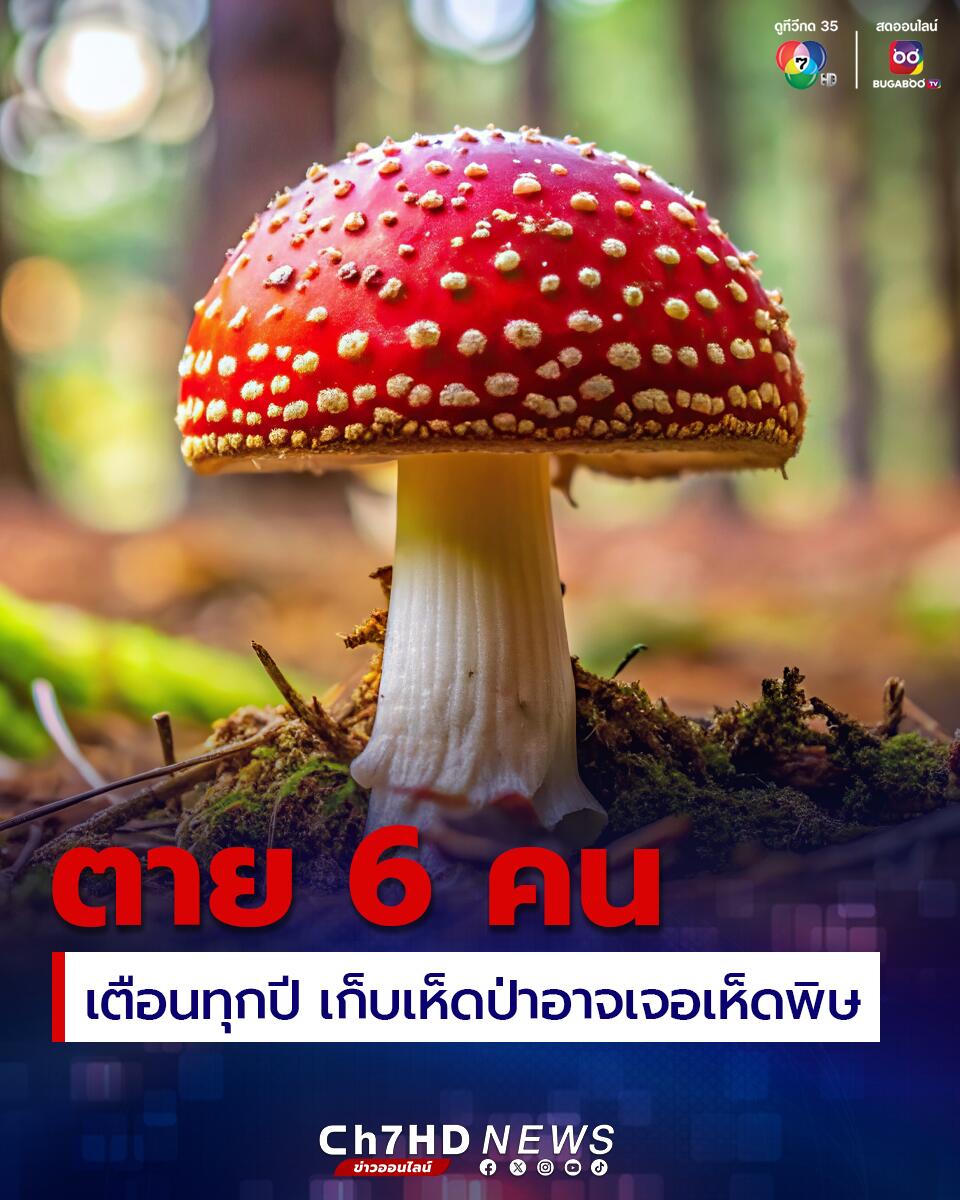 已有6人死亡！泰国今年有60人因食用毒蘑菇中毒！